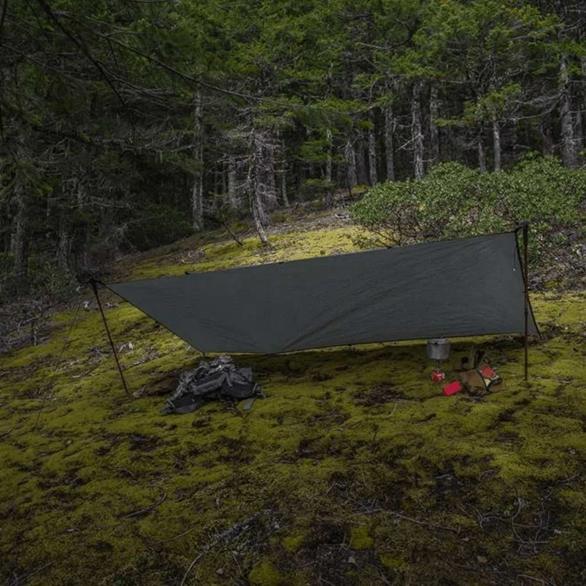 VIAM Outdoors Baldy Mountain 1.1oz Tarp 1 VIAM Outdoors Baldy Mountain 1.1oz Tarp