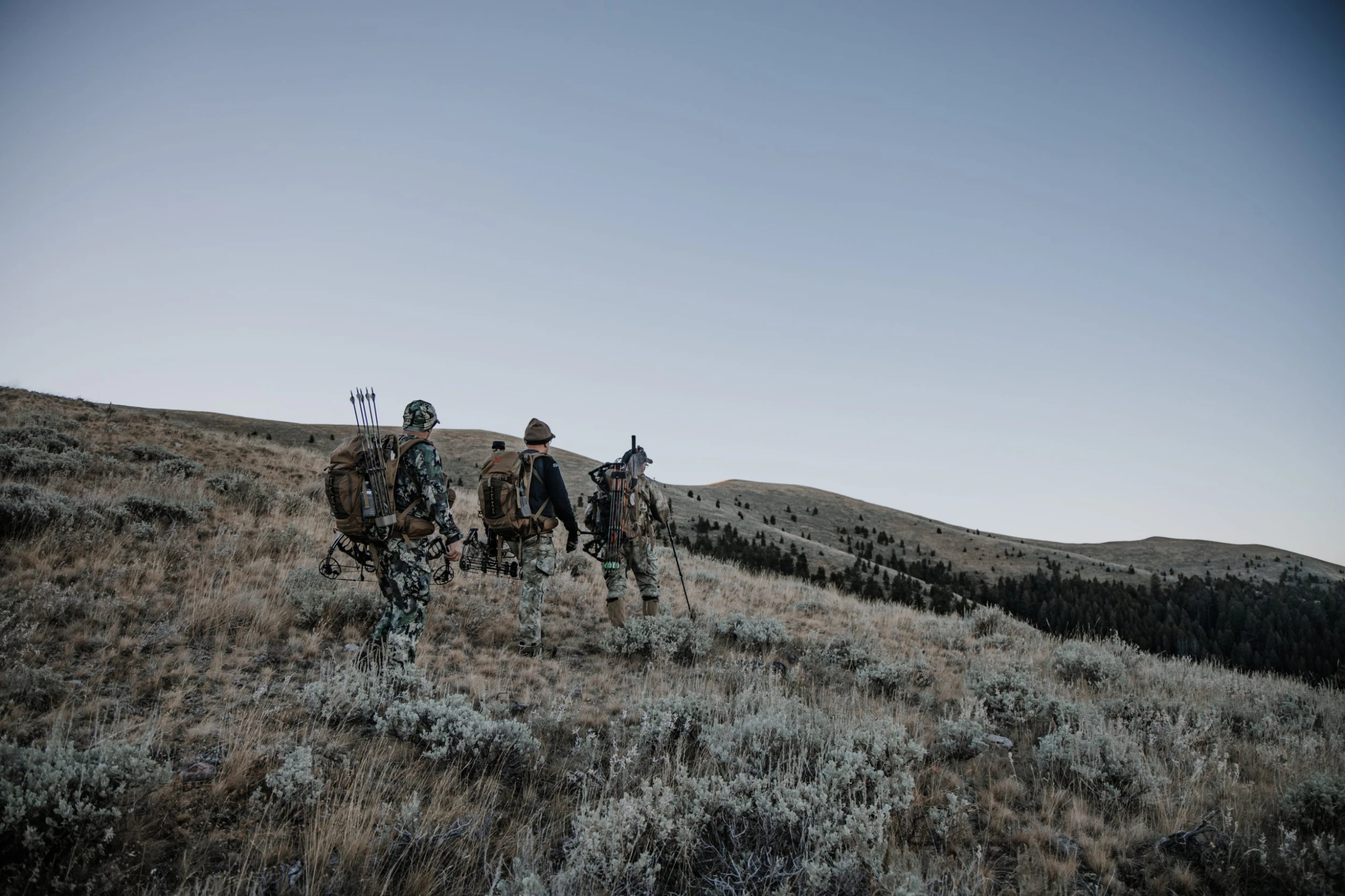 ALPS SHOP -ALPS SHOP banner2 scaled